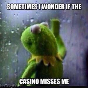 Meet your Posher, Lynn